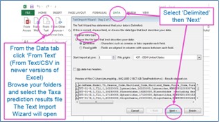 Import csv as text into Excel using the Data tab