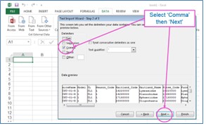 Select comma separated, then ‘Next’