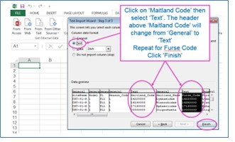 Click on maitland code column and select text, repeat for Furse Code. Click ‘Finish’